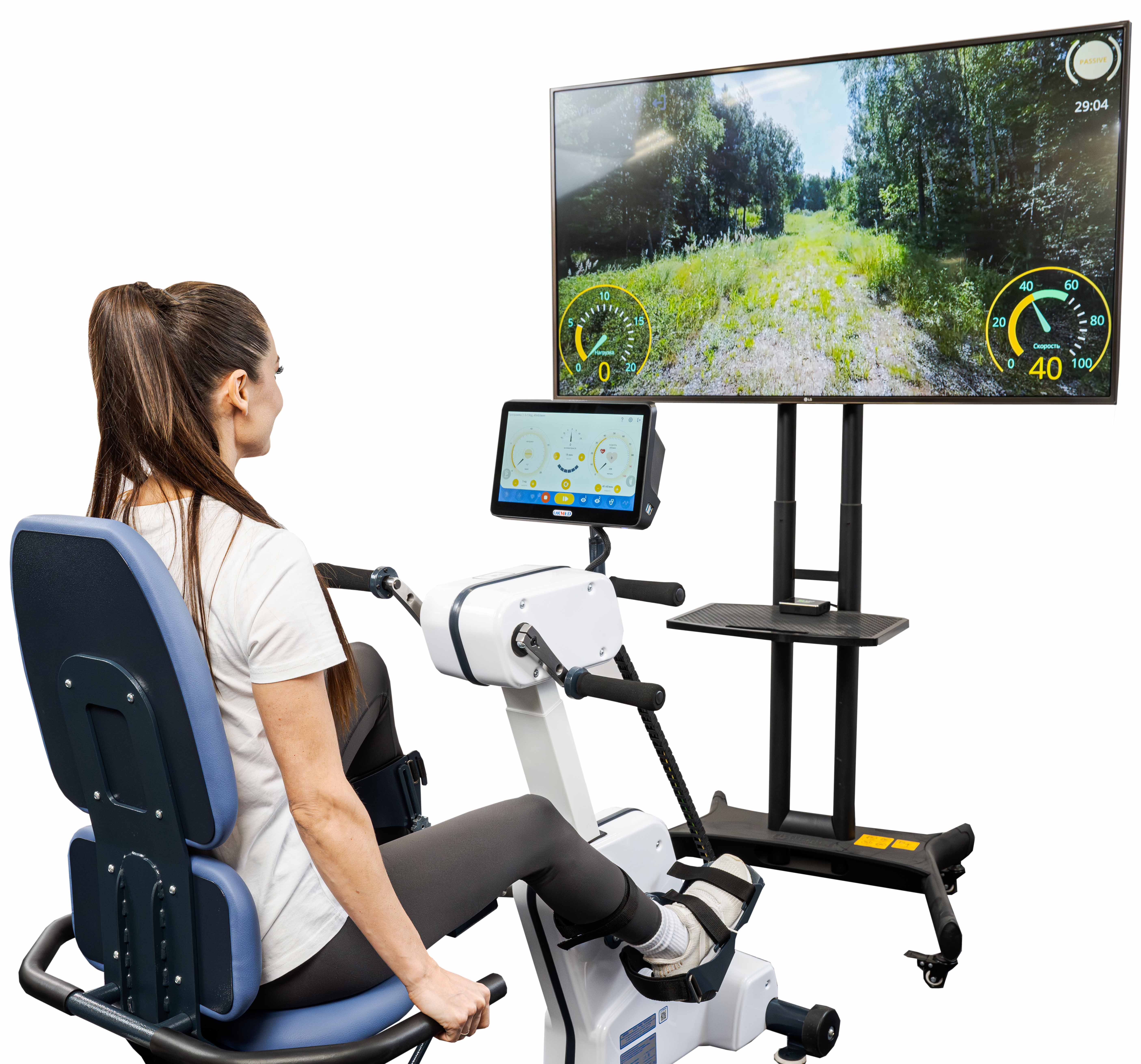 Ormed-Moto MS030 - изображение №6