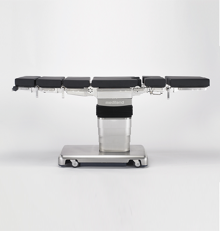 Amadis - изображение №4