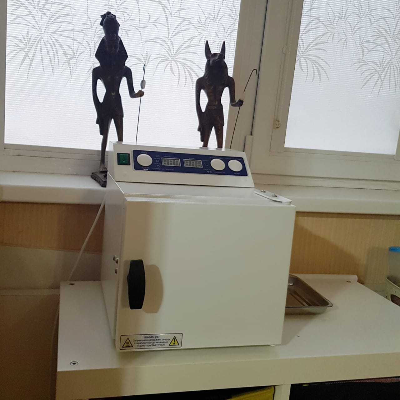 Стерилизатор "Ферропласт" - 5 - изображение №3