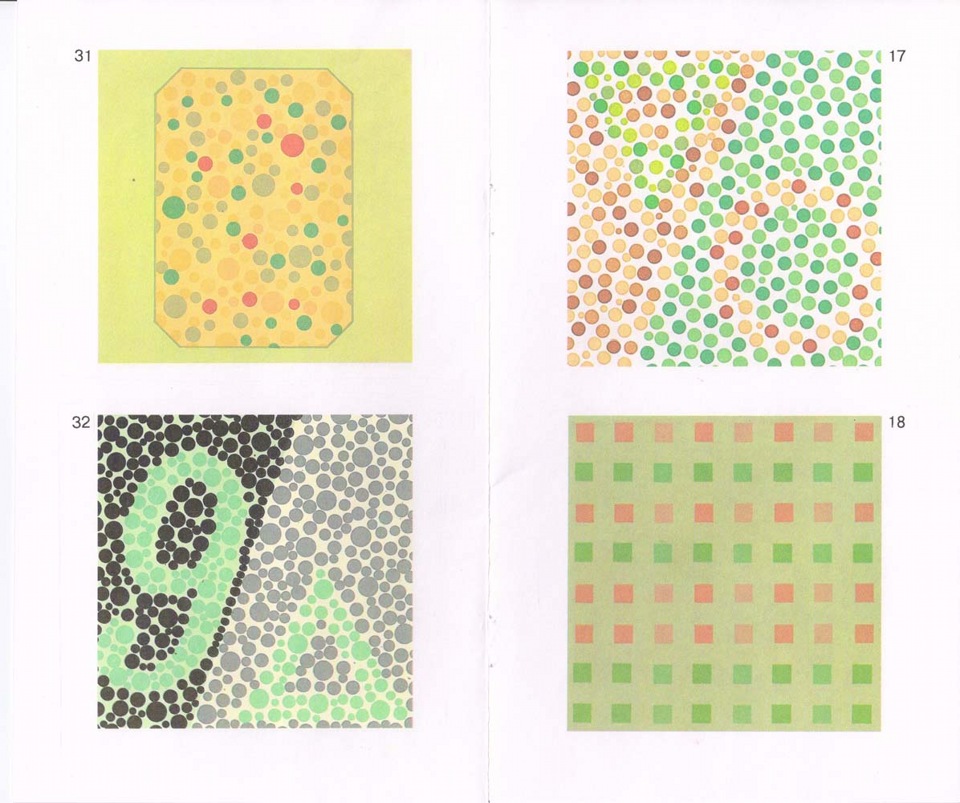 Рабкина - изображение №3