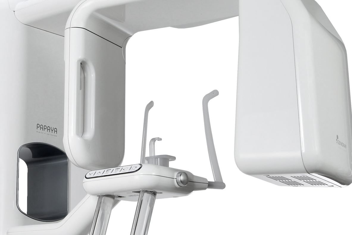 Papaya Plus - изображение №2