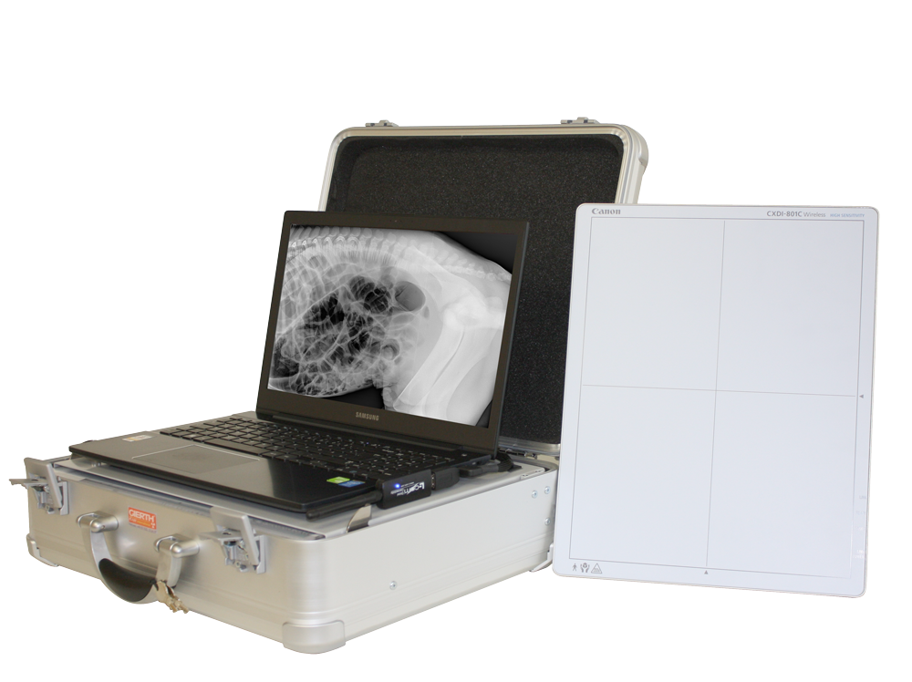 Мобильная беcпроводная система для цифровой рентгенографии SCOPE Ultralight - изображение №2