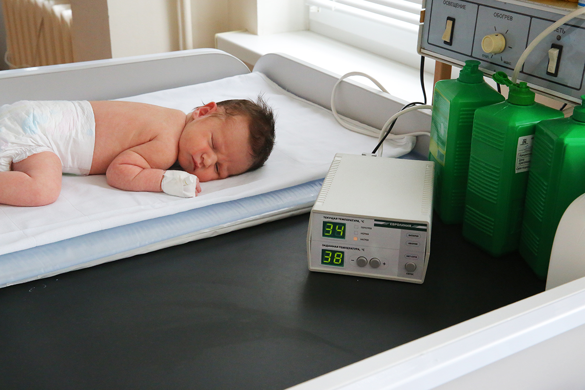 BAMBISOFT - изображение №5