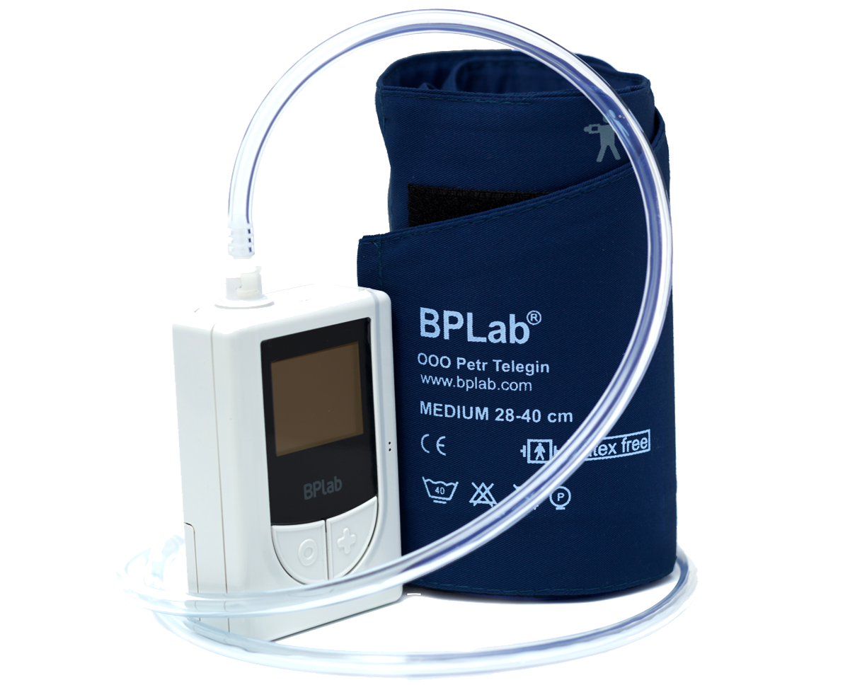 BPlab - изображение №2