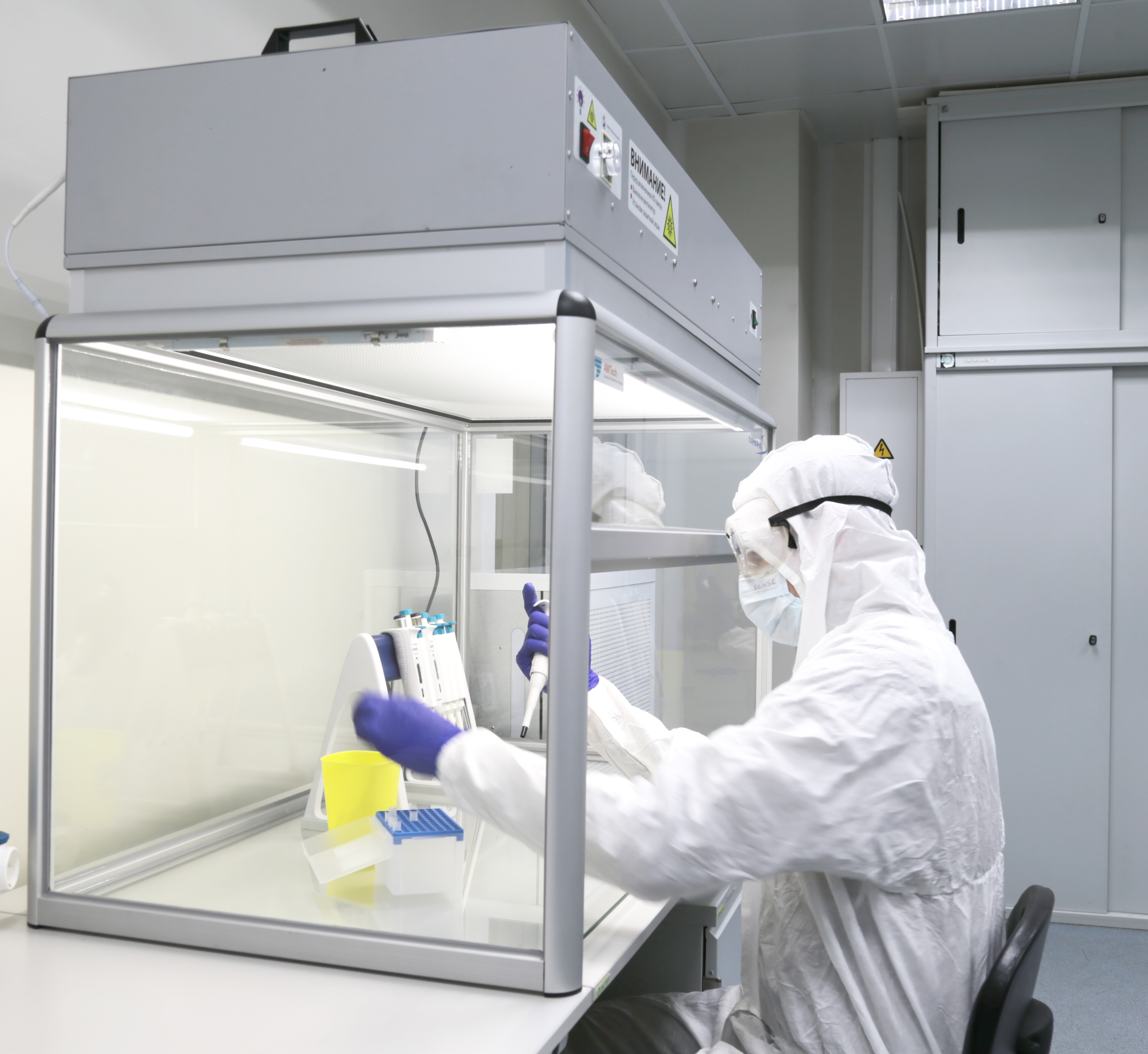 ЛАМИНА - изображение №2