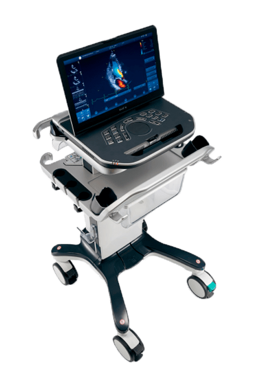 GE Vivid iQ - изображение №2