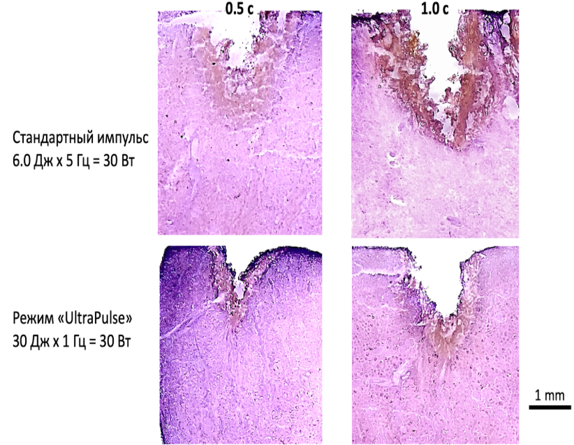 Снимок экрана 2025-01-28 173959.png