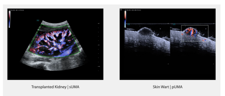 Снимок экрана 2024-11-18 164428.png