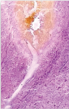 Снимок экрана 2025-01-28 171548.png