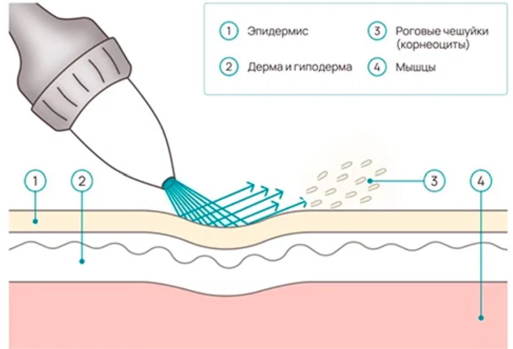 Снимок экрана 2025-07-29 111802.png