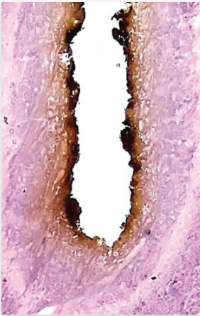 Снимок экрана 2025-01-28 171520.png