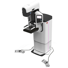 МАММОЭКСПЕРТ АДАНИ