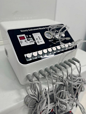 Muscle Training Expert