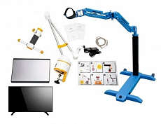 Орторент Моторика