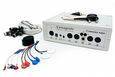 Синапсис стандартный