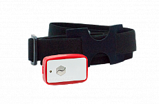 Колибри-Кармин