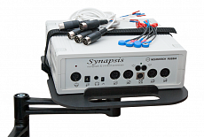 Синапсис стоматологический