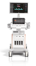 Siemens Acuson Redwood