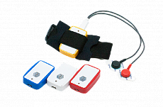 Колибри комплексная