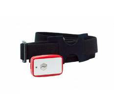  Колибри-Кармин