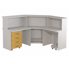 Сестринские посты МФ3-ПМ-01, МФ3-ПМ-02