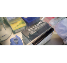  Набор для выделения РНК коронавируса SARS-CoV-2