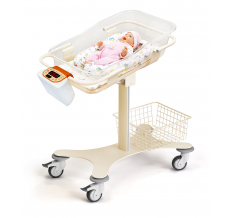  «РАМОНАК-01»