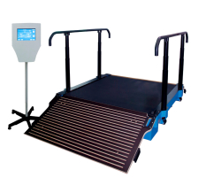 Тренажеры для реабилитации модель «Академика Лядова»