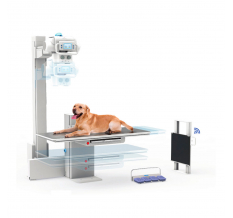 Ветеринария Rayence MYVET