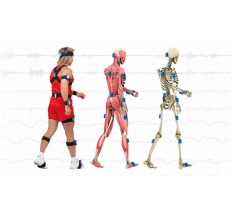 Функциональная диагностика Биокинект, диагностика опорно-двигательной системы